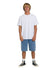 Billabong Mens Shorts Bad Dog 22
