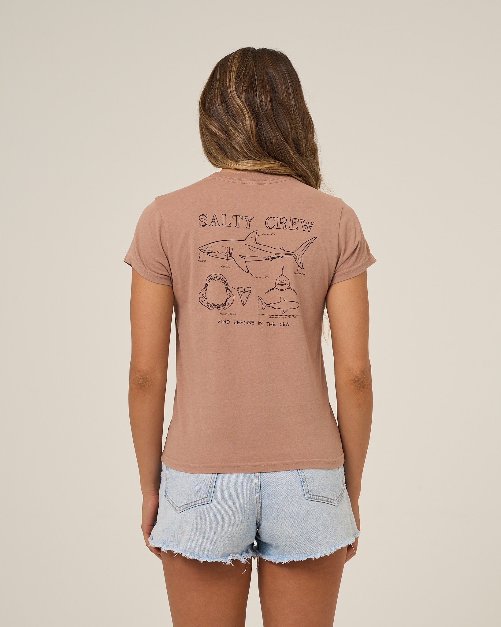 Salty Crew Womens Shirt Shark Anatomy Modern Tee