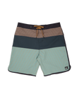 Quiksilver Mens Boardshorts Surfsilk Tijuana 19"