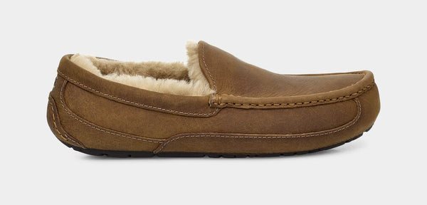 UGG Mens Slipper Ascot Matte Leather