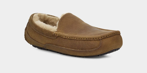 UGG Mens Slipper Ascot Matte Leather