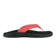 Olukai Womens Sandals Ohana