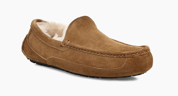 UGG Mens Slipper Ascot Suede