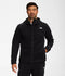 The North Face Mens Snow Layers Alpine Polartec 200 Full-Zip Hooded Jacket
